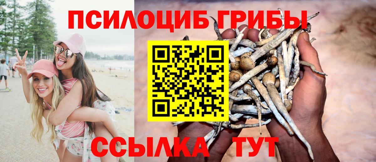 Волгоград  Псилоцибиновые грибы мухоморы  купить наркотики сайты  Галлюциногенные грибы прущие грибы  Вход с VPN 